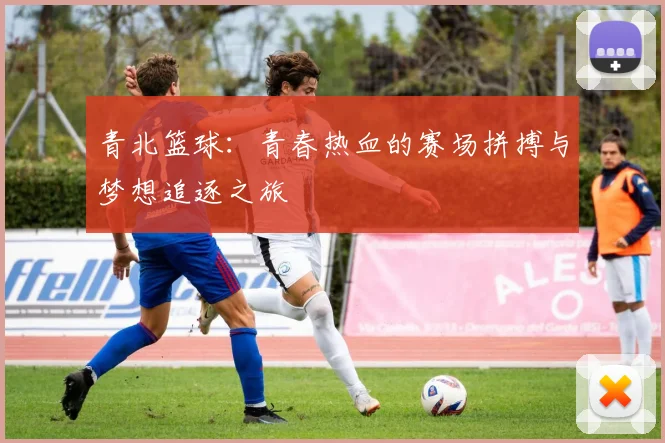 青北篮球：青春热血的赛场拼搏与梦想追逐之旅