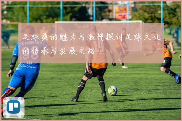 足球桑的魅力与激情探讨足球文化的传承与发展之路