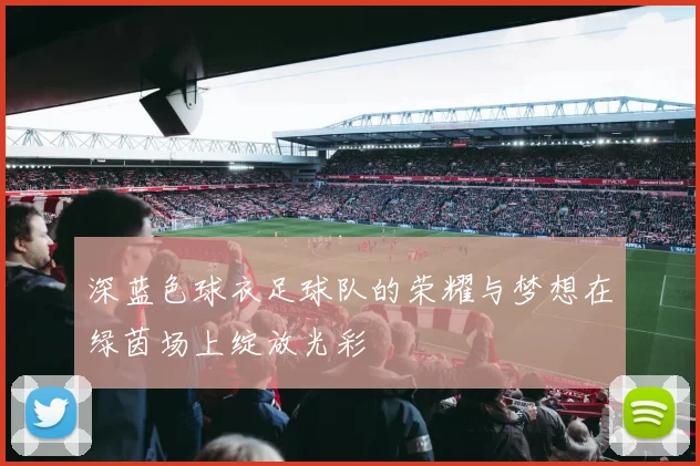 深蓝色球衣足球队的荣耀与梦想在绿茵场上绽放光彩