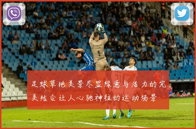 足球草地美景尽显绿意与活力的完美结合让人心驰神往的运动场景